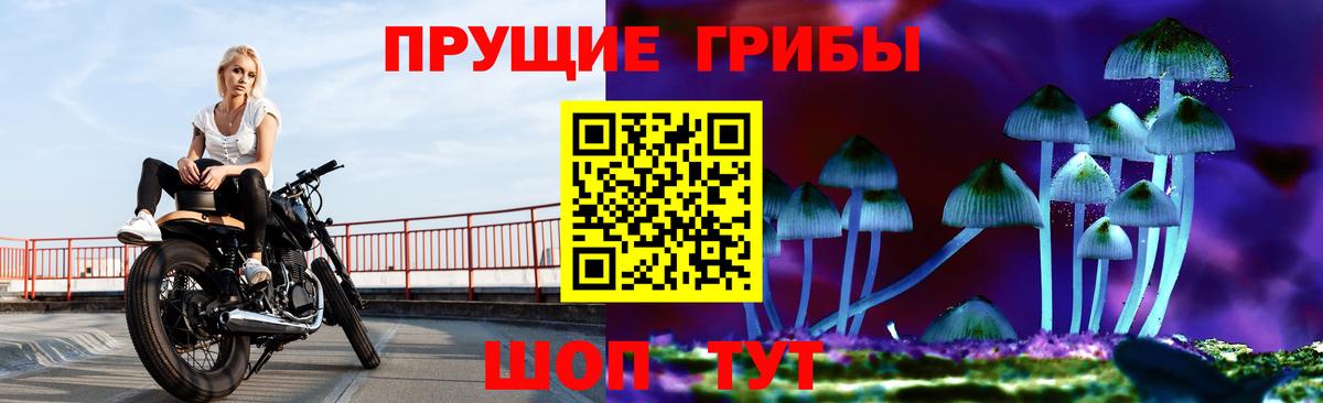 Галлюциногенные грибы прущие грибы  Вход с VPN  Шатура 